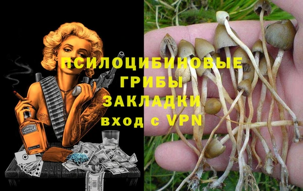 марки lsd Зеленокумск