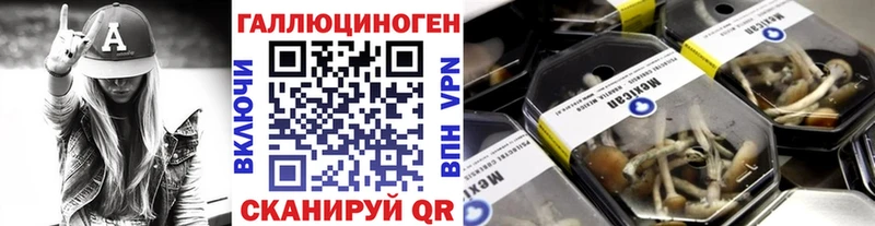 Псилоцибиновые грибы мицелий Карасук